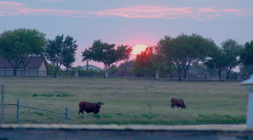New Hope Ranch Tour & Amenities